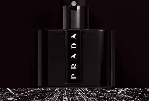 prada black.perfume|Prada black perfume review.